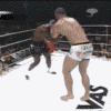 BOXE THA !